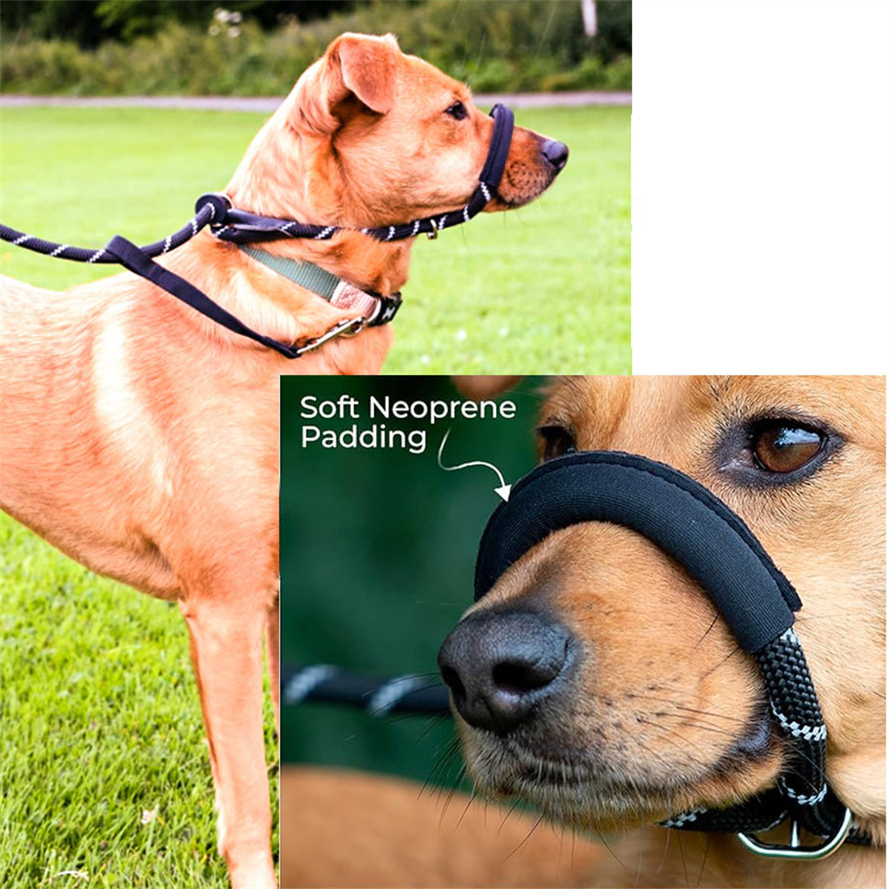 一體式狗嘴套牽引繩 200*1.0CM 黑色 UB0272