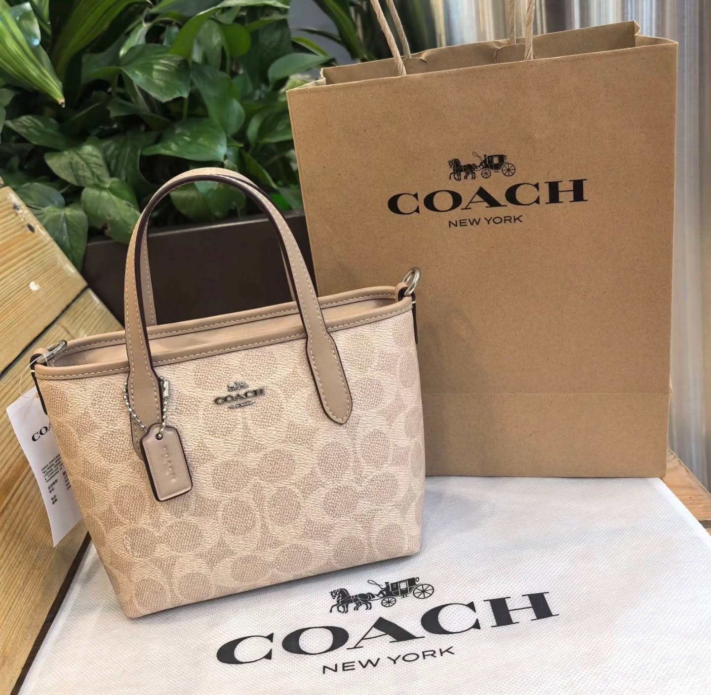 🇯🇵Coach爆款 City15迷你托特