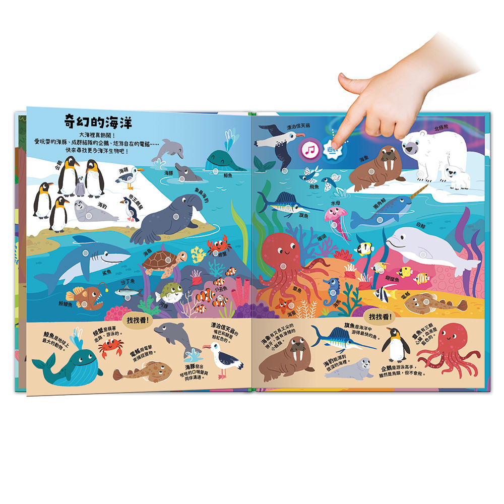 🔸預購貨品🔸動物祕密基地 ┃小小探險家音效百科