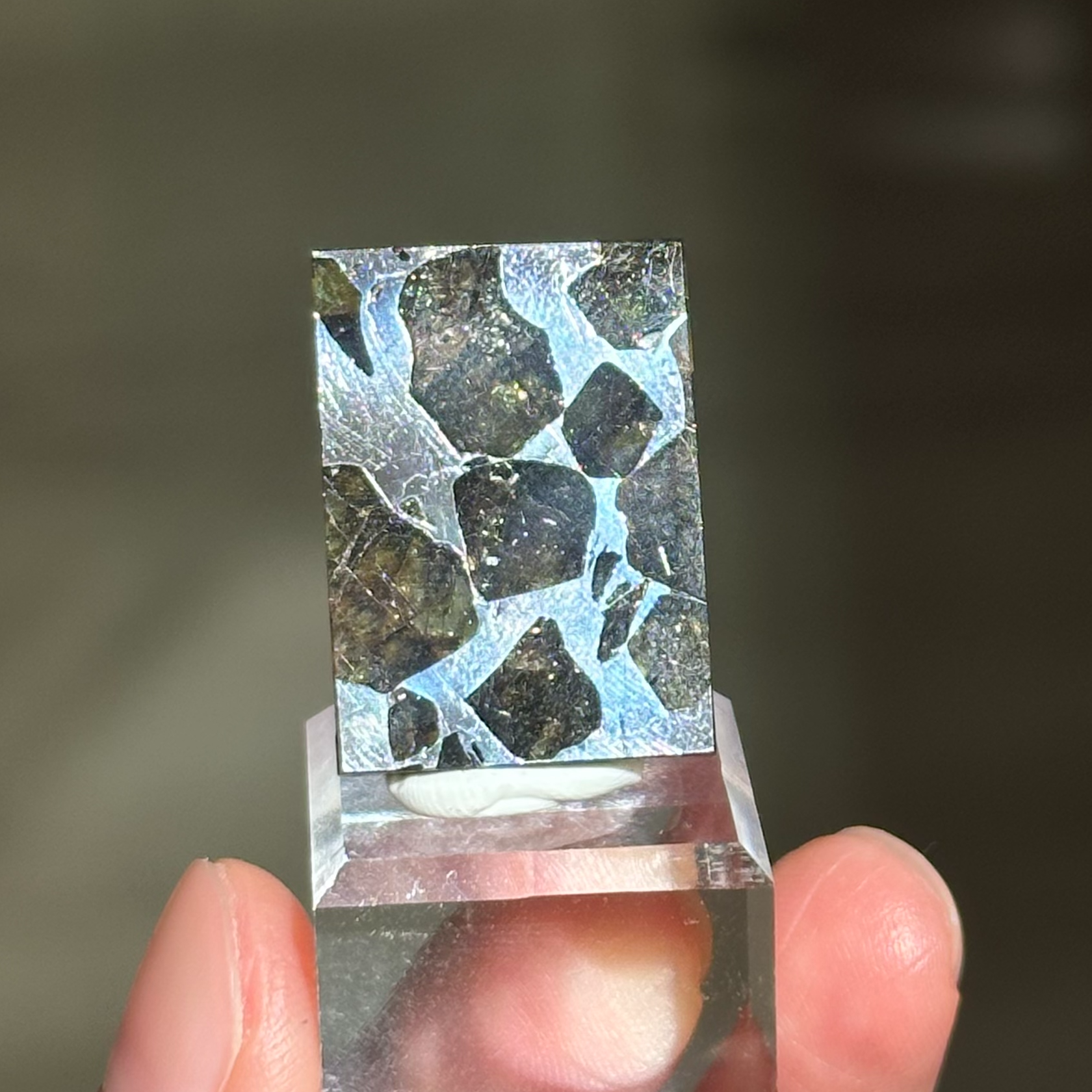 橄欖鐵隕石 - Pallasite Meteorite｜PA02