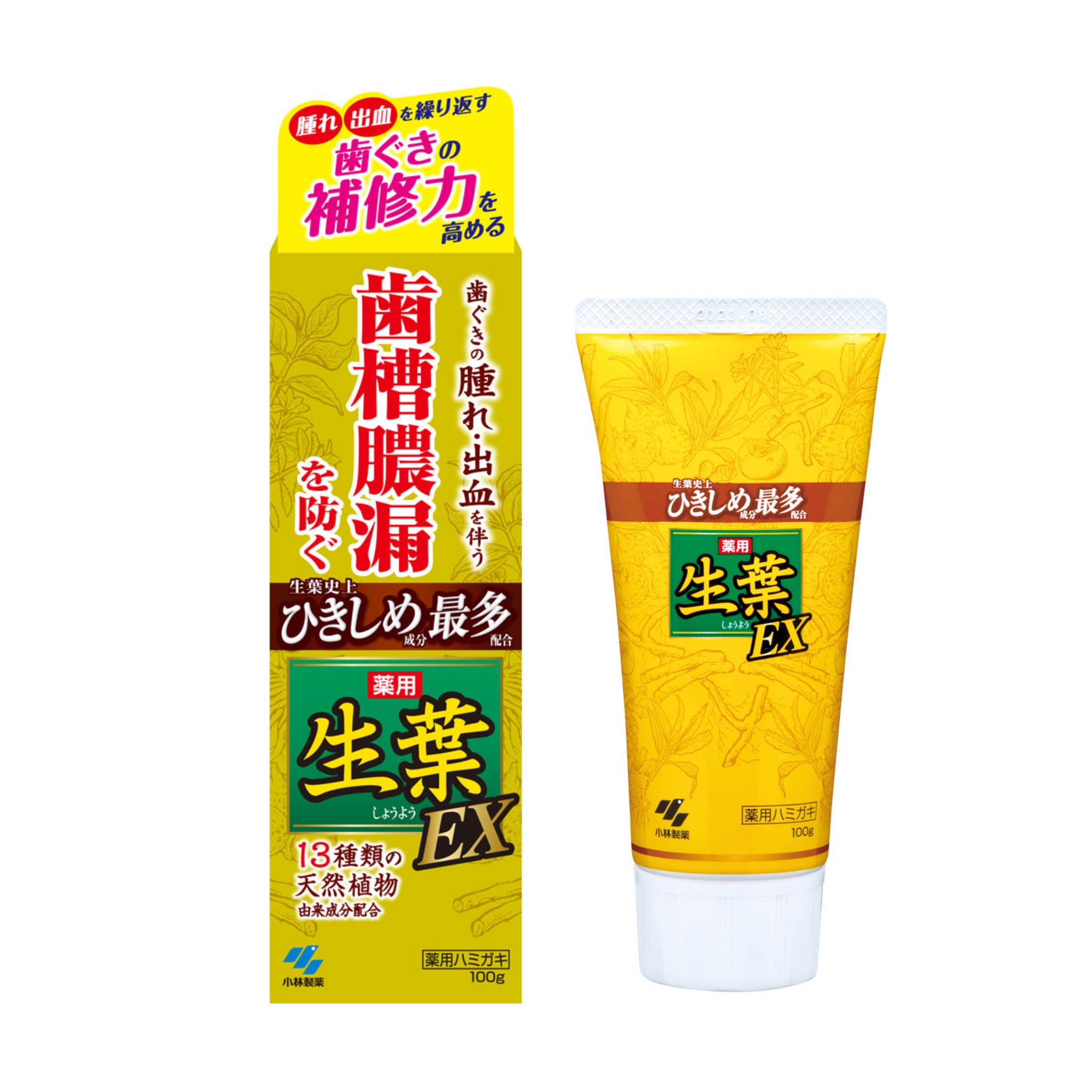 日本小林製藥 生葉EX 藥用牙膏 100g