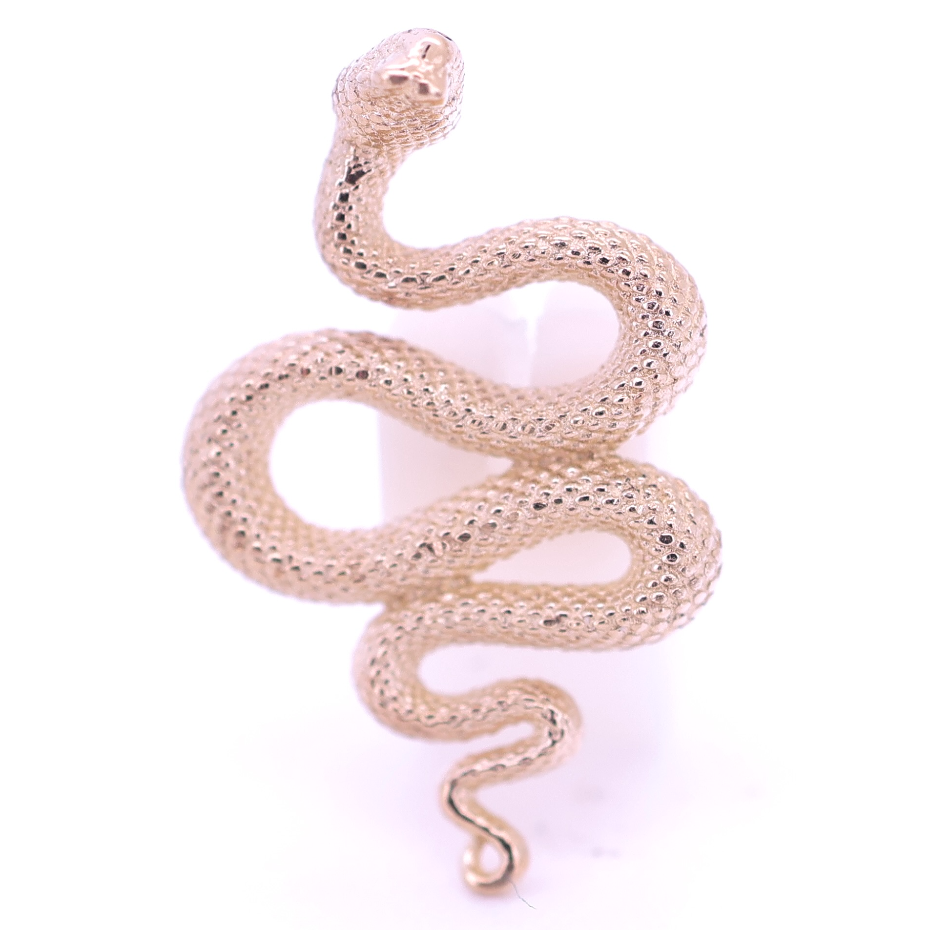 Threadad Snake End