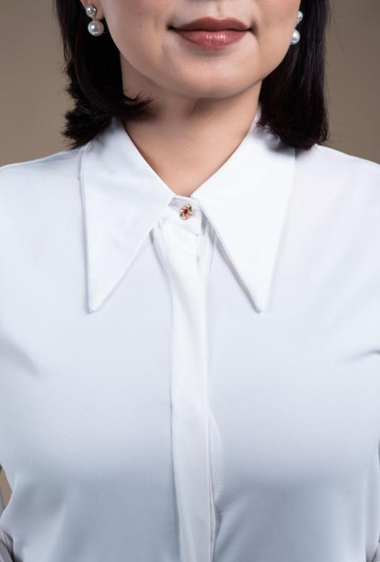 Pleated Soft Sleeve Blouse