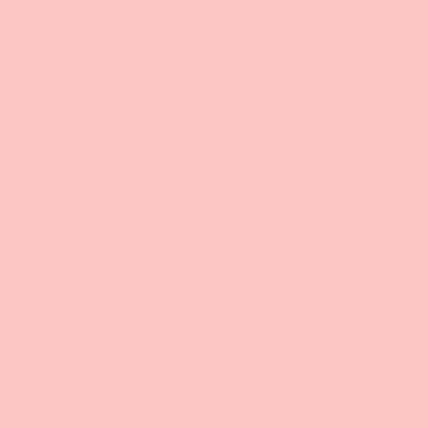 Gush Core Interior Paint