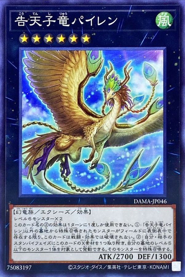 DAMA-JP046 告天子龍 派倫