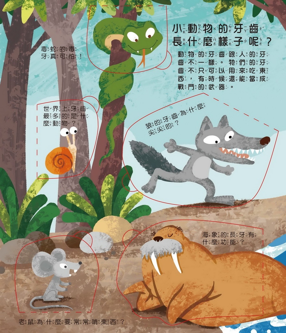 京采 牙齒呢？翻翻書