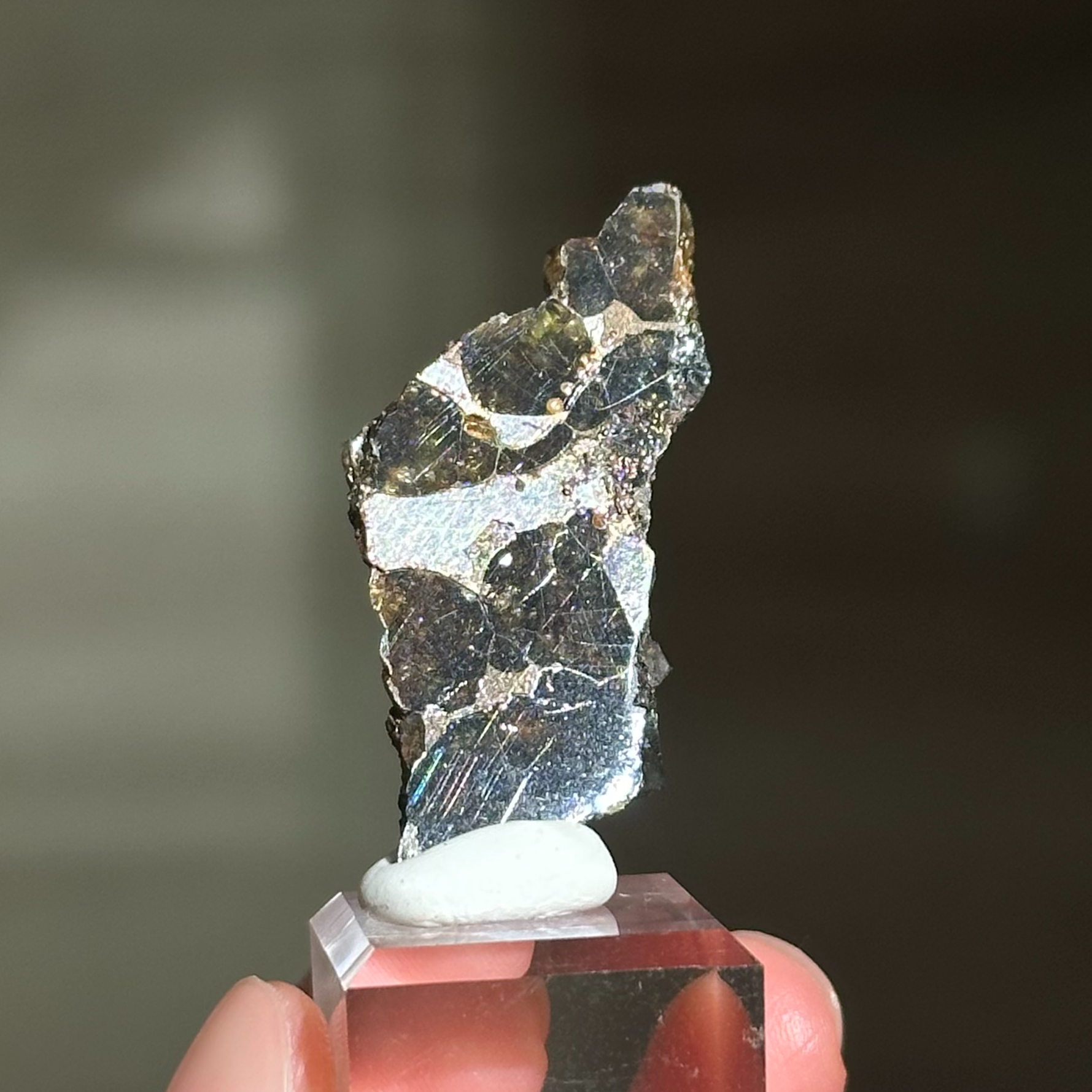 橄欖鐵隕石 - Pallasite Meteorite｜PA04