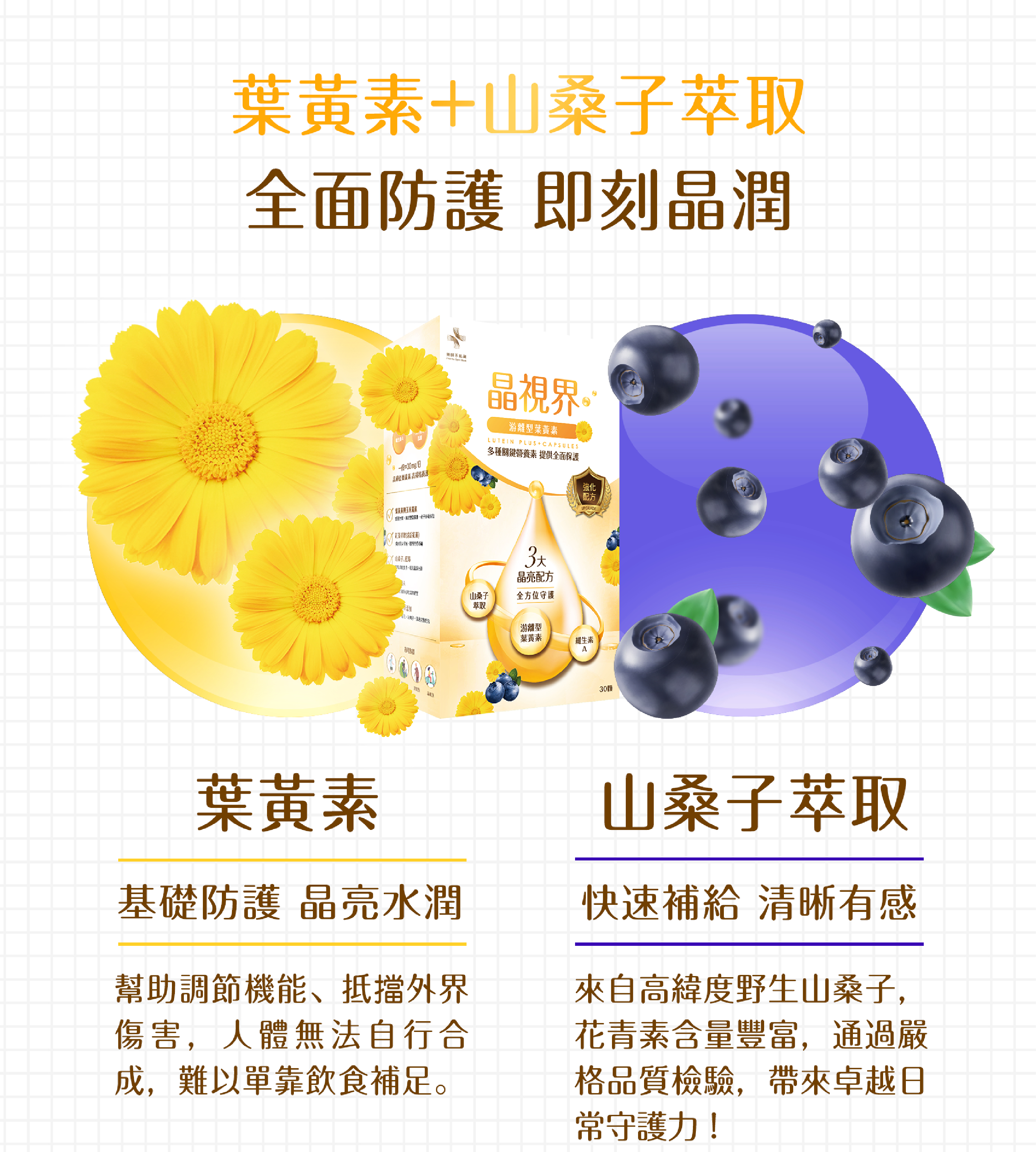 台灣直送 晶視界 30粒 高單位30mg 葉黃素