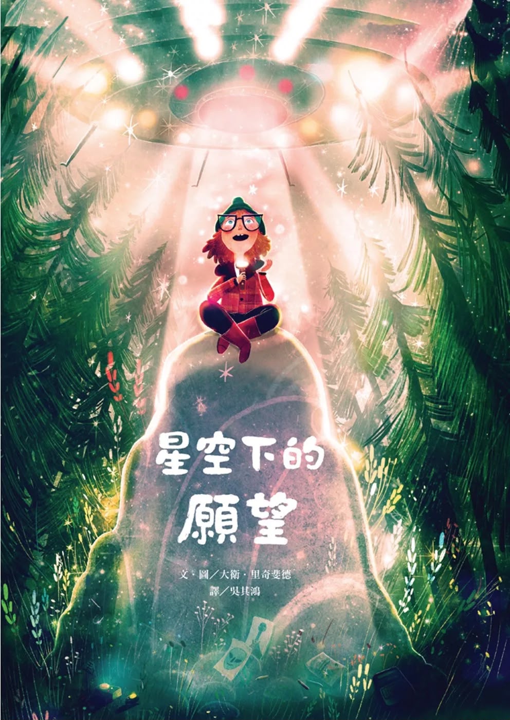 維京 星空下的願望