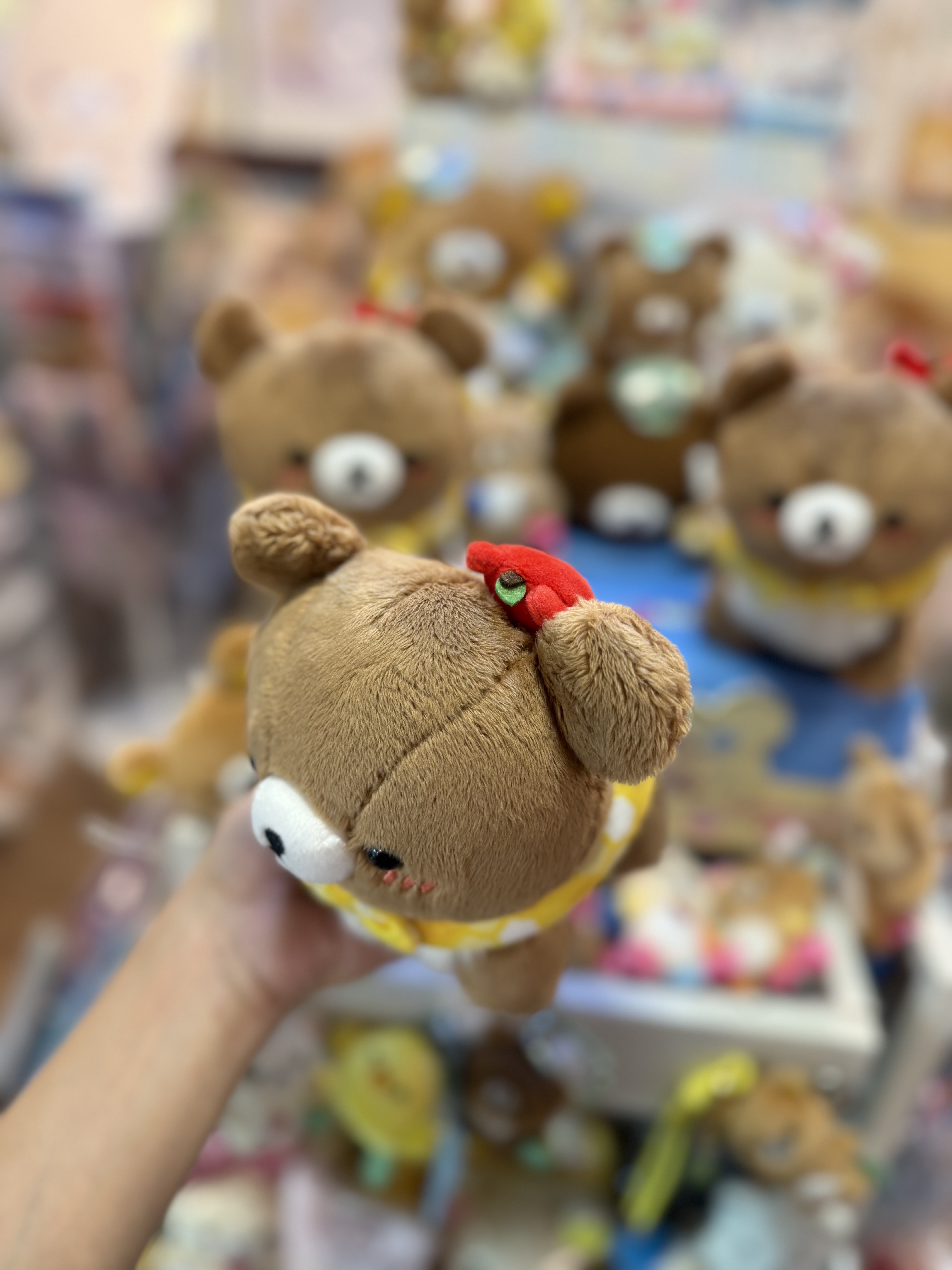 《現貨》全新日本小熊10週年紀念巡迴pop up店限定小熊探險隊系列爬爬公仔