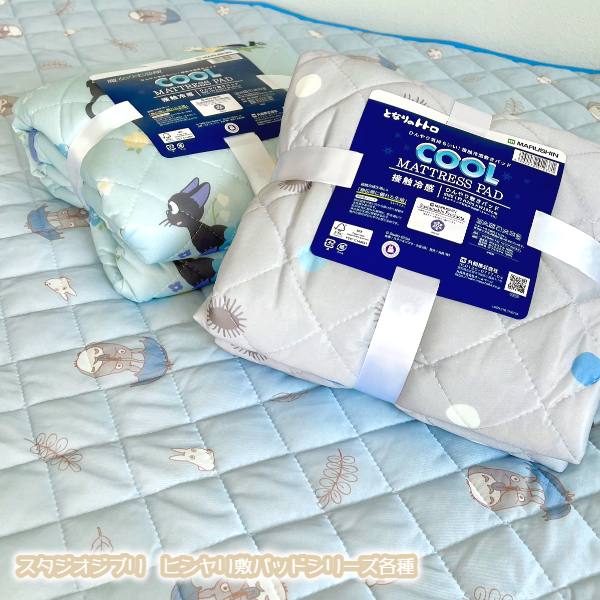 🆕【⭐訂購⭐】🌀 🇯🇵 日本直送 #龍貓 接觸涼感床墊［2款選］🌀 [ELED-0234][260625]