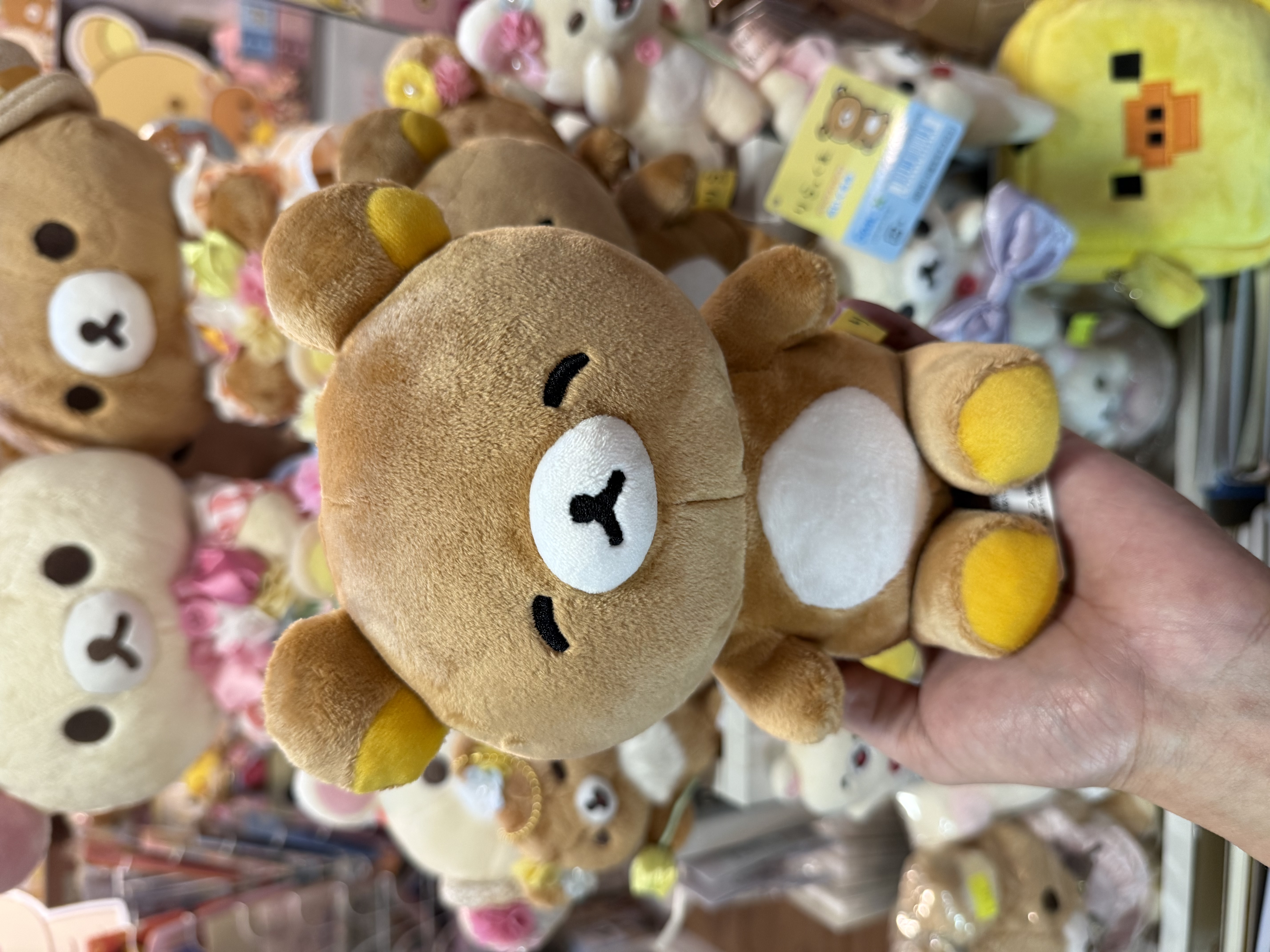 《現貨》全新日本專店限定 Happy rilakkuma 系列公仔