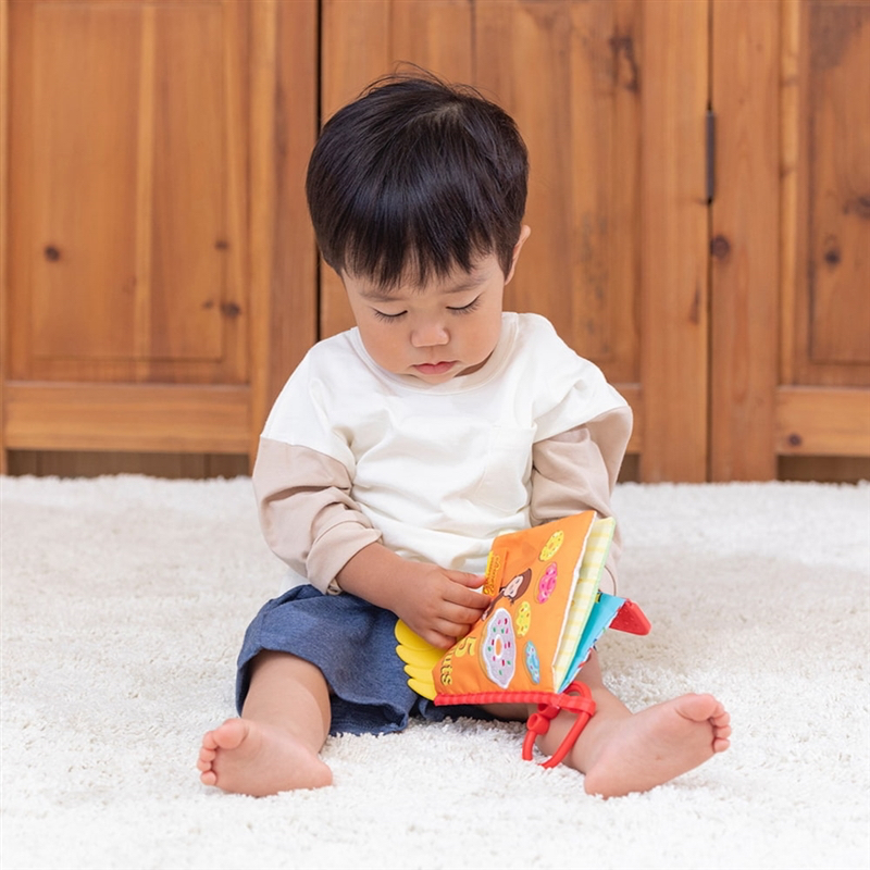 🇯🇵預訂 日本直送🇯🇵好奇的喬治嬰兒牙膠布書0m+