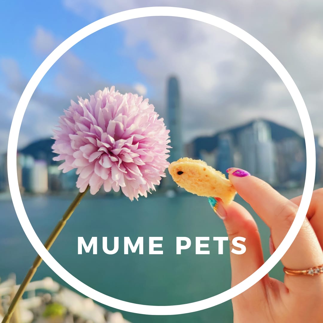 鬆脆三文魚／藍鱈魚魚仔