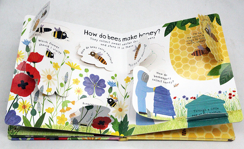 Usborne First Questions and Answers系列翻翻書 Why Do We Need Bees 為什麼需要蜜蜂