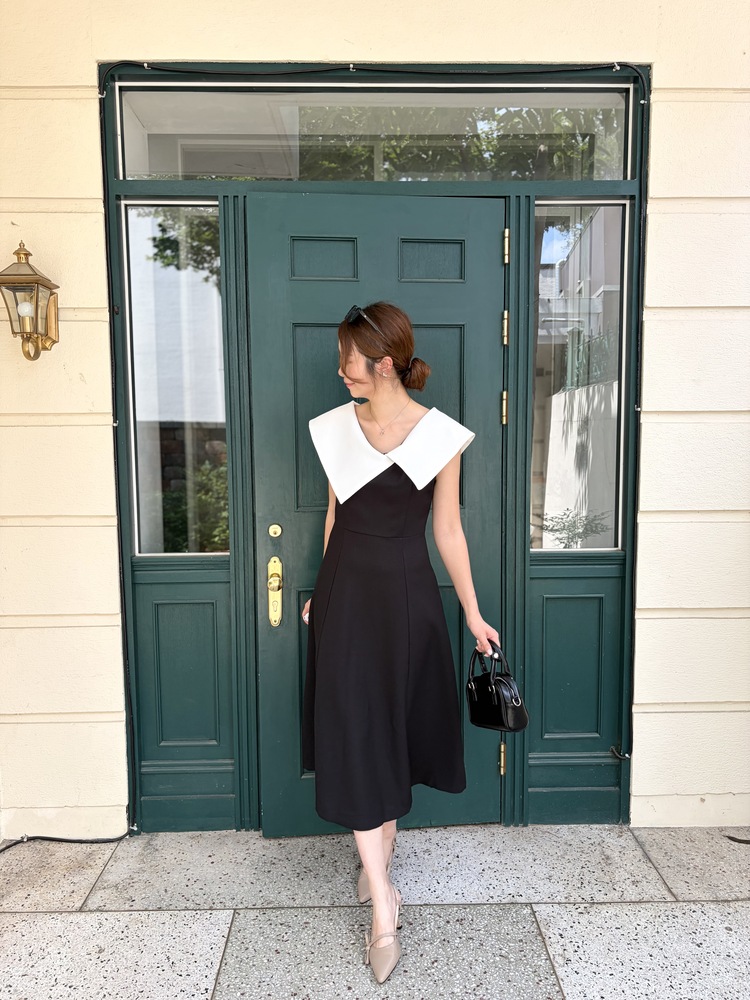 Celine Contrast Collar Dress