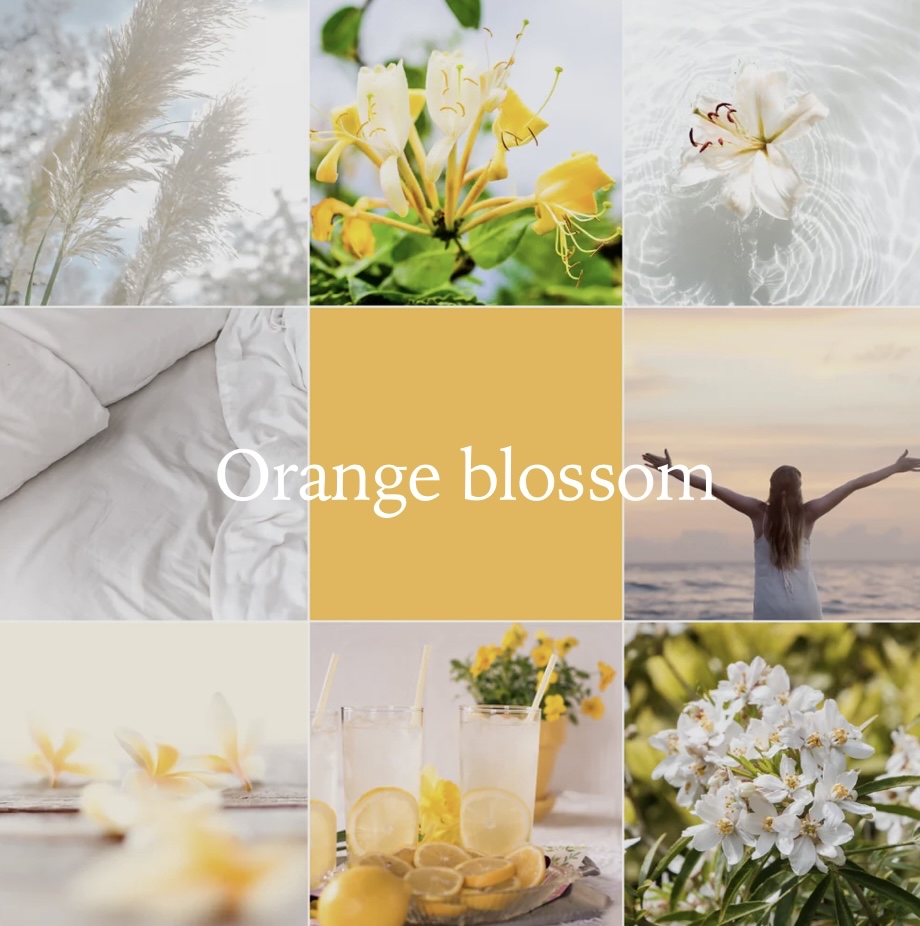 Pikoc Éclat d' Oranger  En Fleurs Laundry Detergent - 1L  橙花