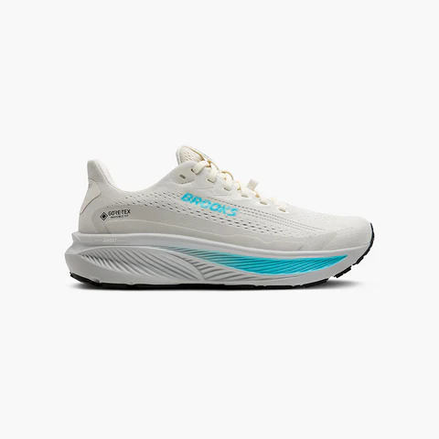 Brooks Women's Ghost 17 GTX 1204511B