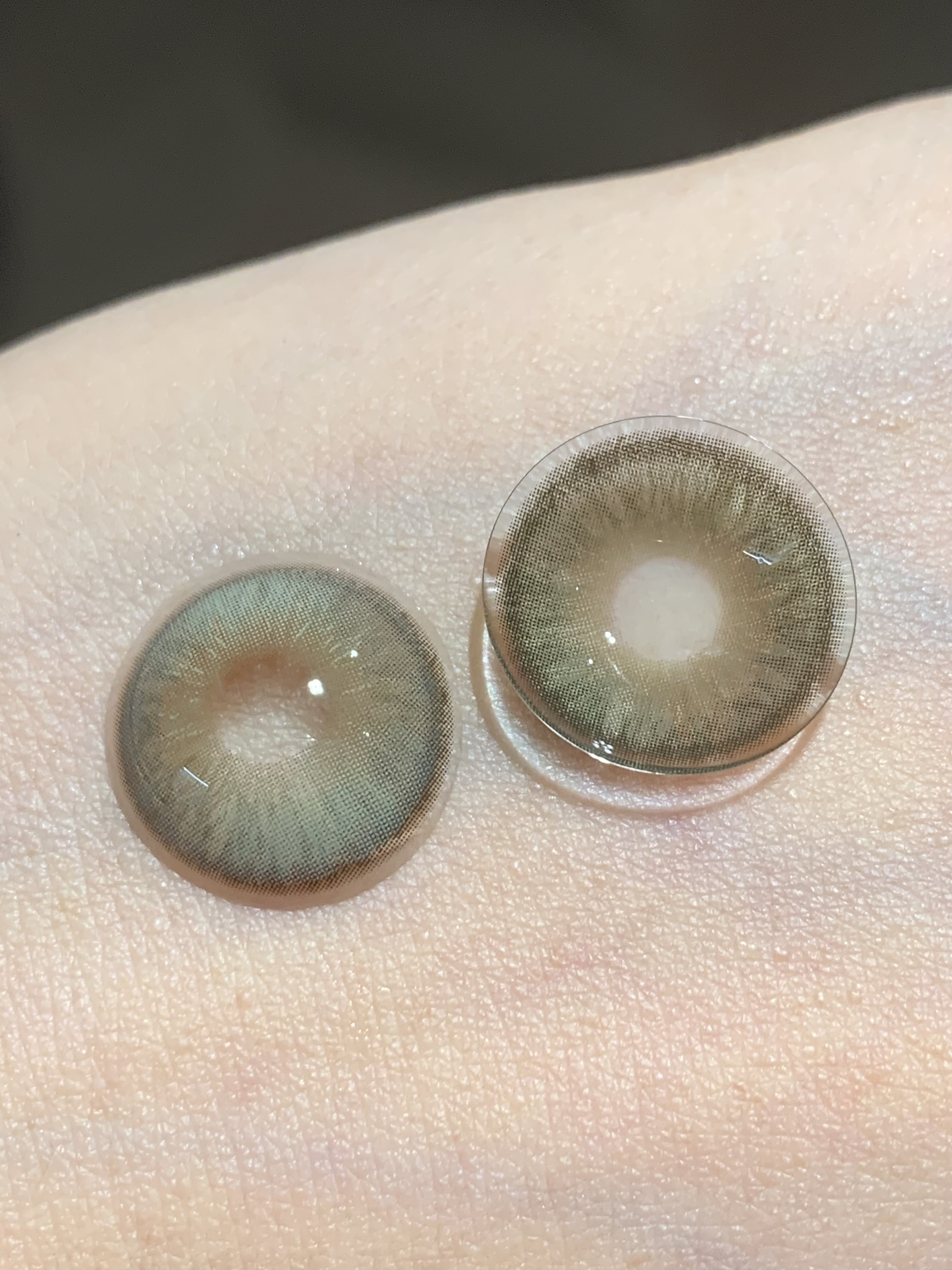 Serltyca 日拋6片裝 未知世界/香檳貓眼