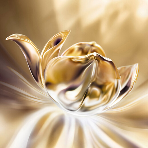 LANCOME 菁純臻顏面霜 Absolue Longevity - The Soft Cream (60ml/100ml)