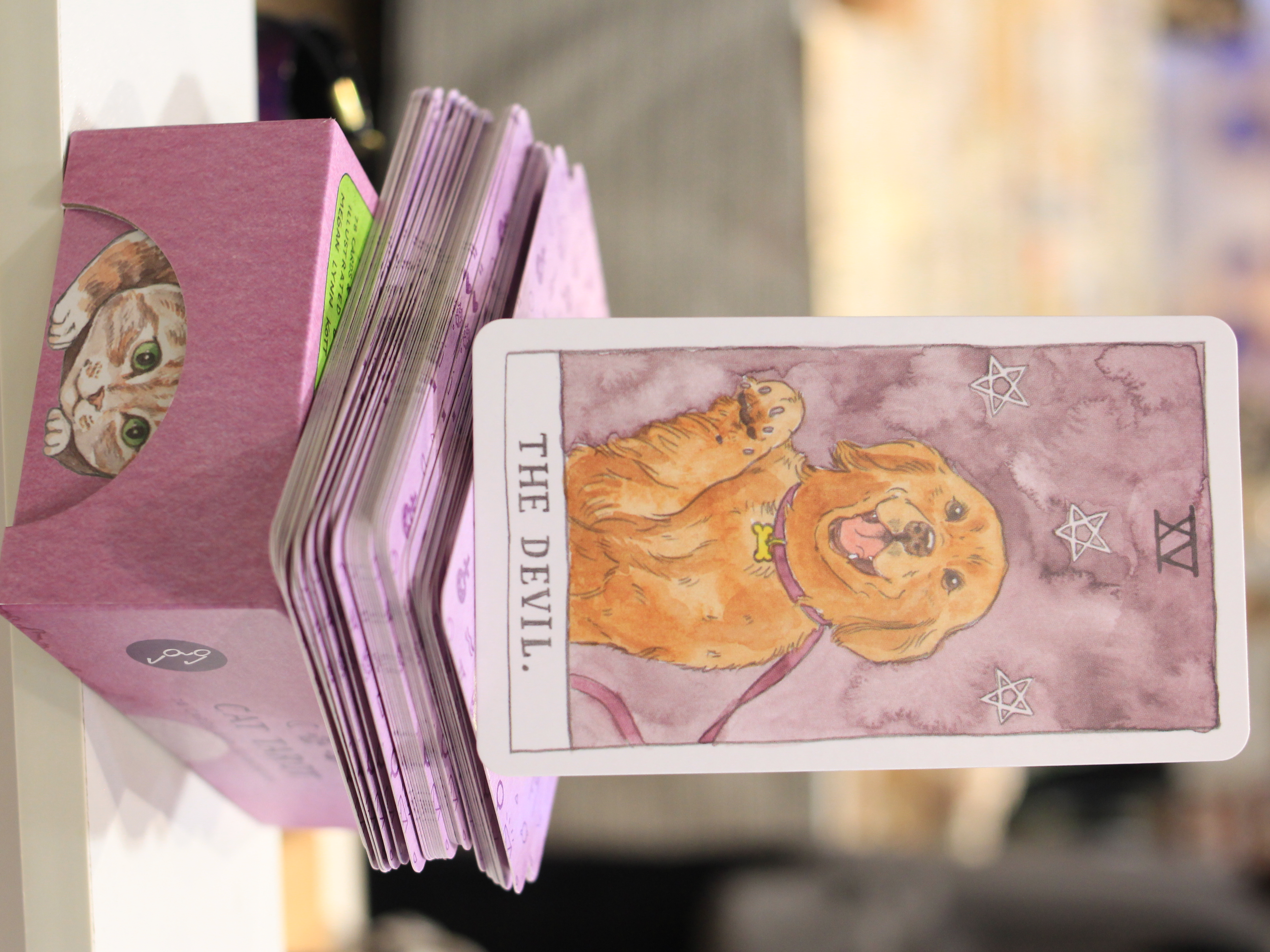 Cat Tarot 貓貓塔羅牌