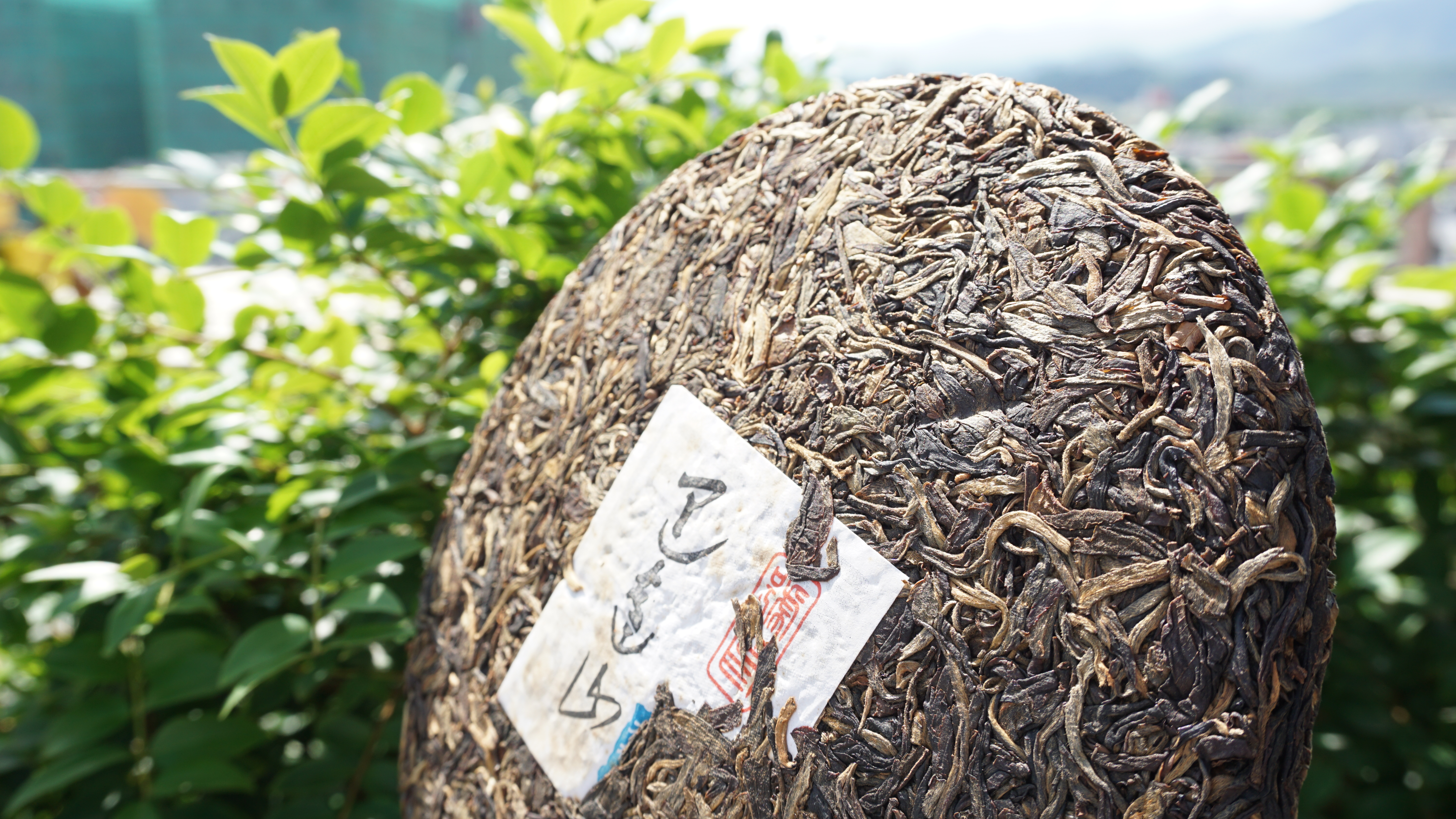 2012年 巴達山(大樹茶)藍印