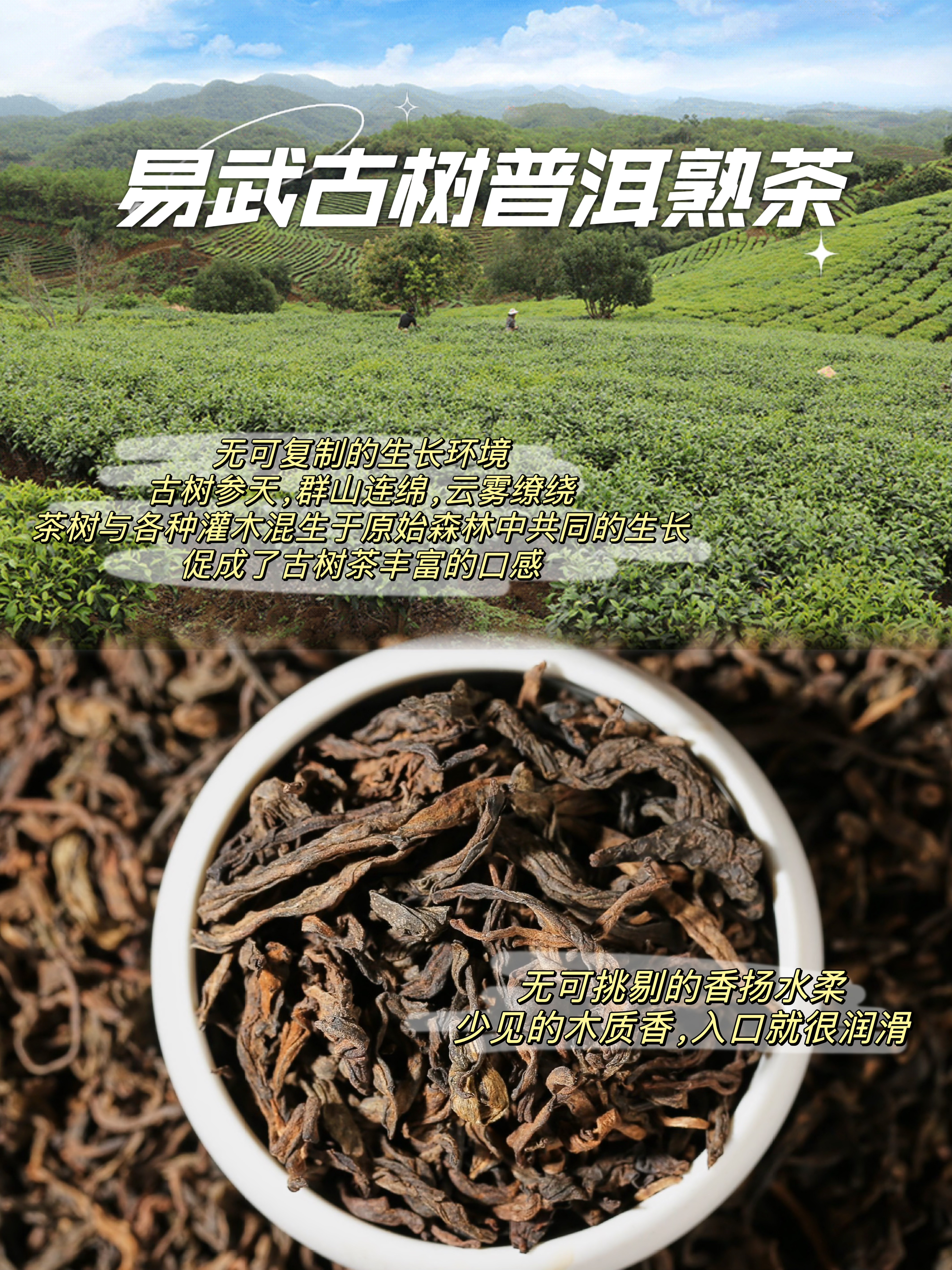 【马到成功·骅骏迎福】2026马年新年茶叶礼盒套装新年礼品新中式礼物礼盒礼篮送礼推荐