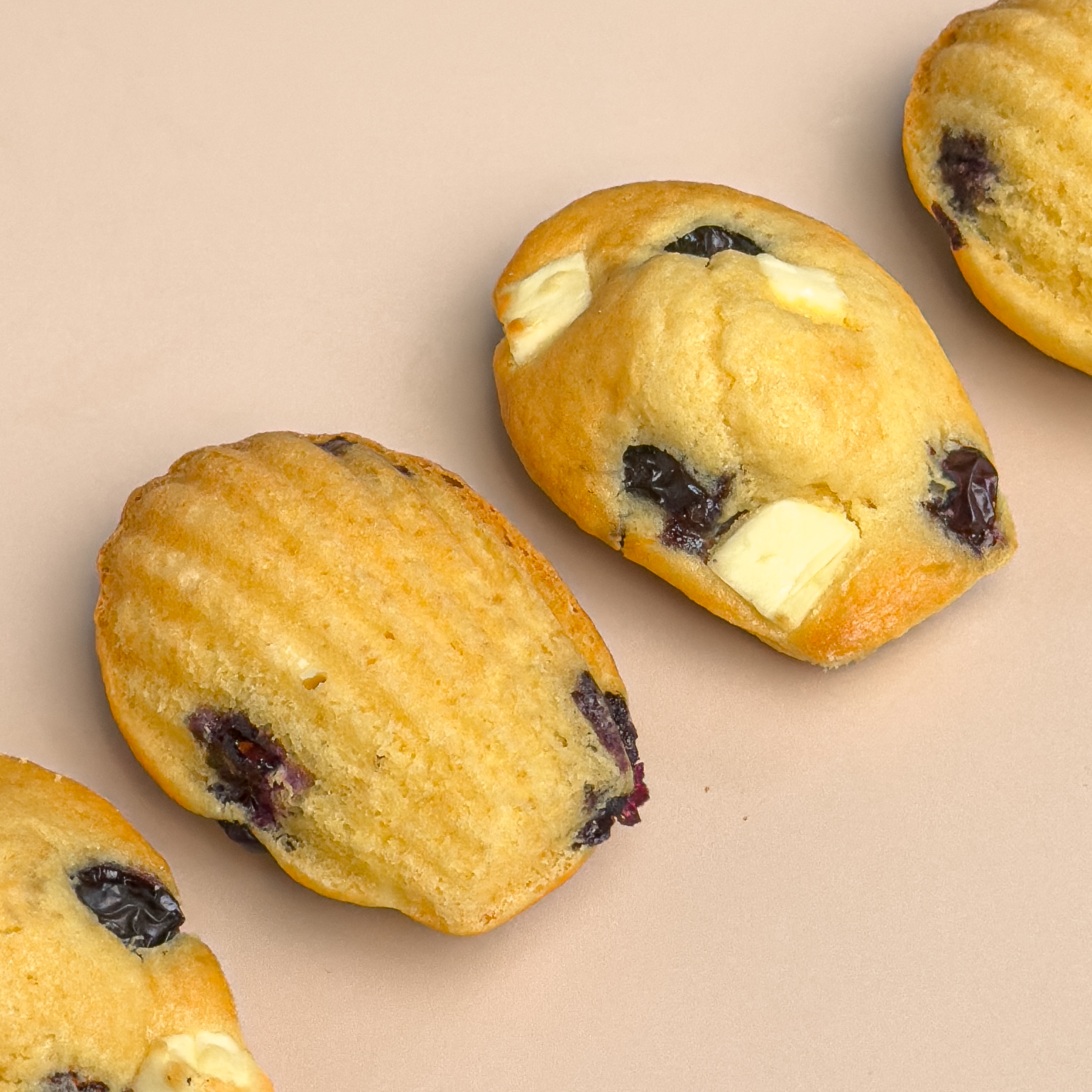 瑪德蓮  Madeleine