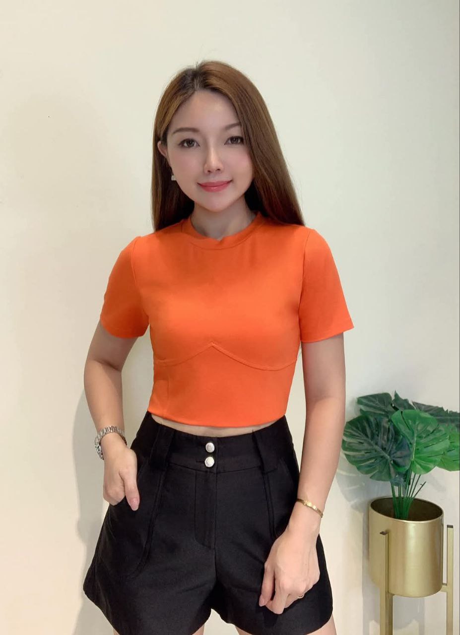 百搭短版上衣 T0115