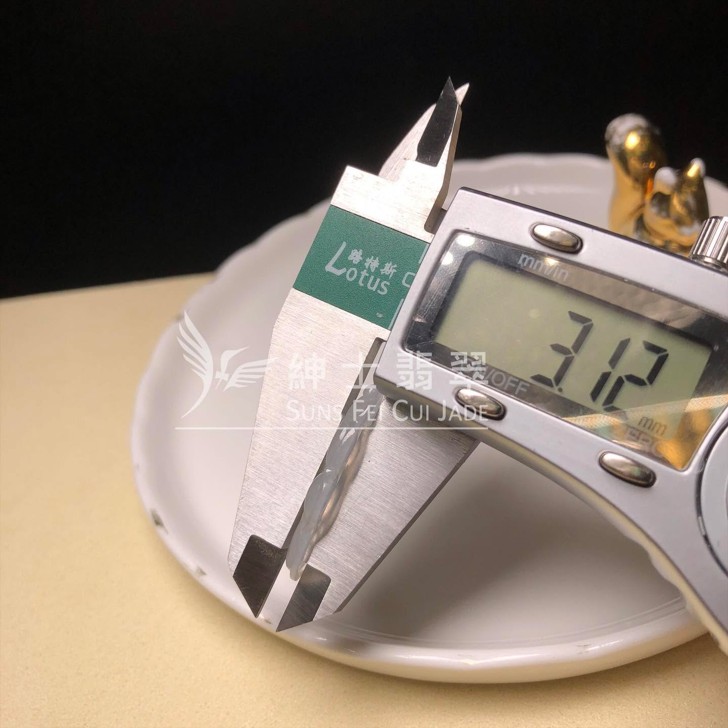 B08960 冰種福葉