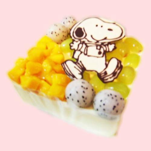 D02. 史奴比蛋糕 snoopy cake(急單蛋糕 立體蛋糕）