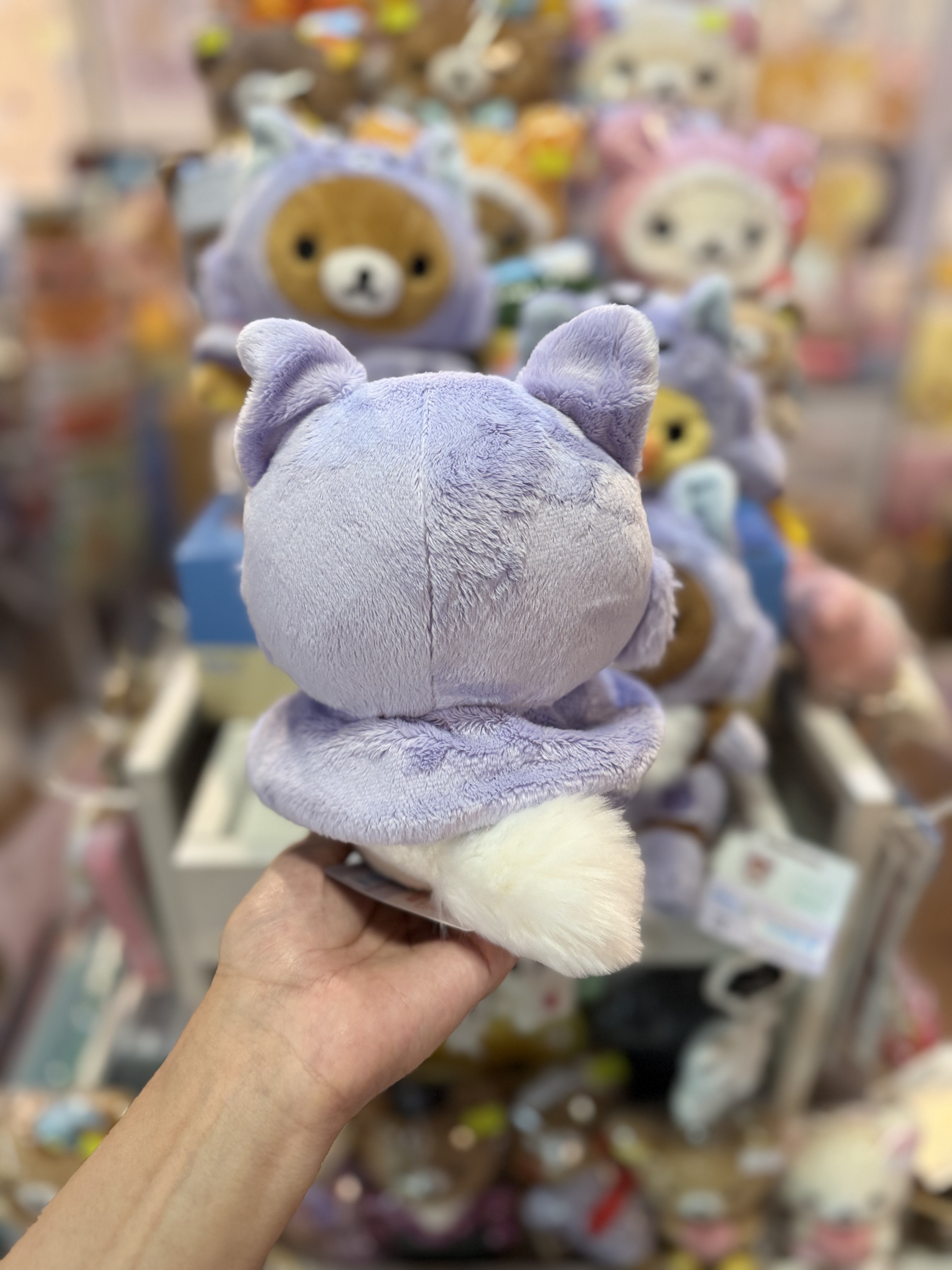 《現貨》全新Rilakkuma瓦瓦貓系列公仔