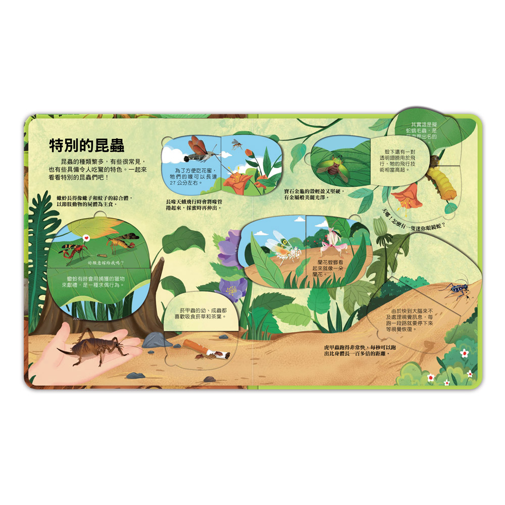 📚預訂 台灣直送📚百問百答圖解翻翻書-揭祕昆蟲