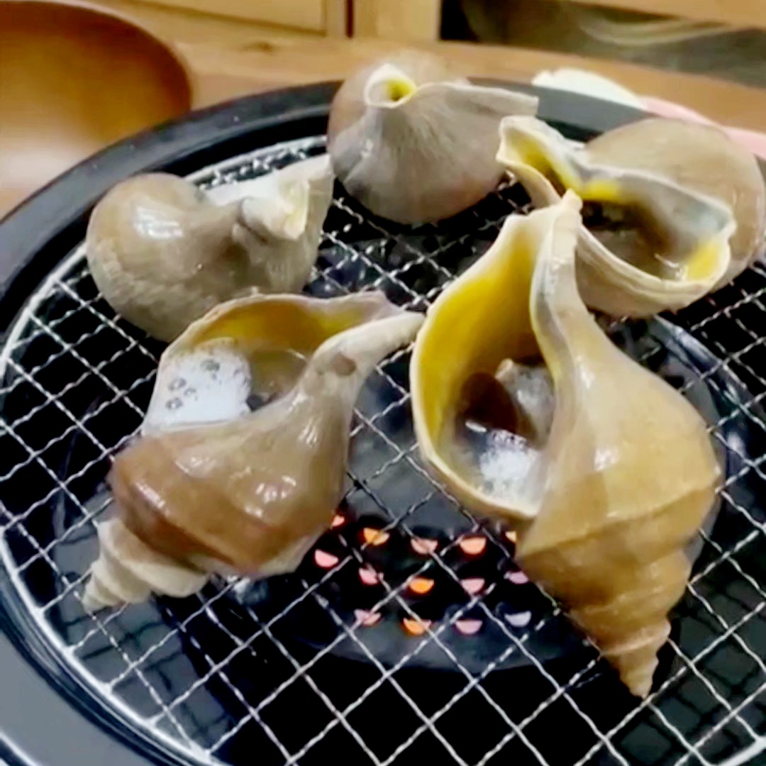 🇯🇵 活日本茶螺 (一般香港夏季有供應)