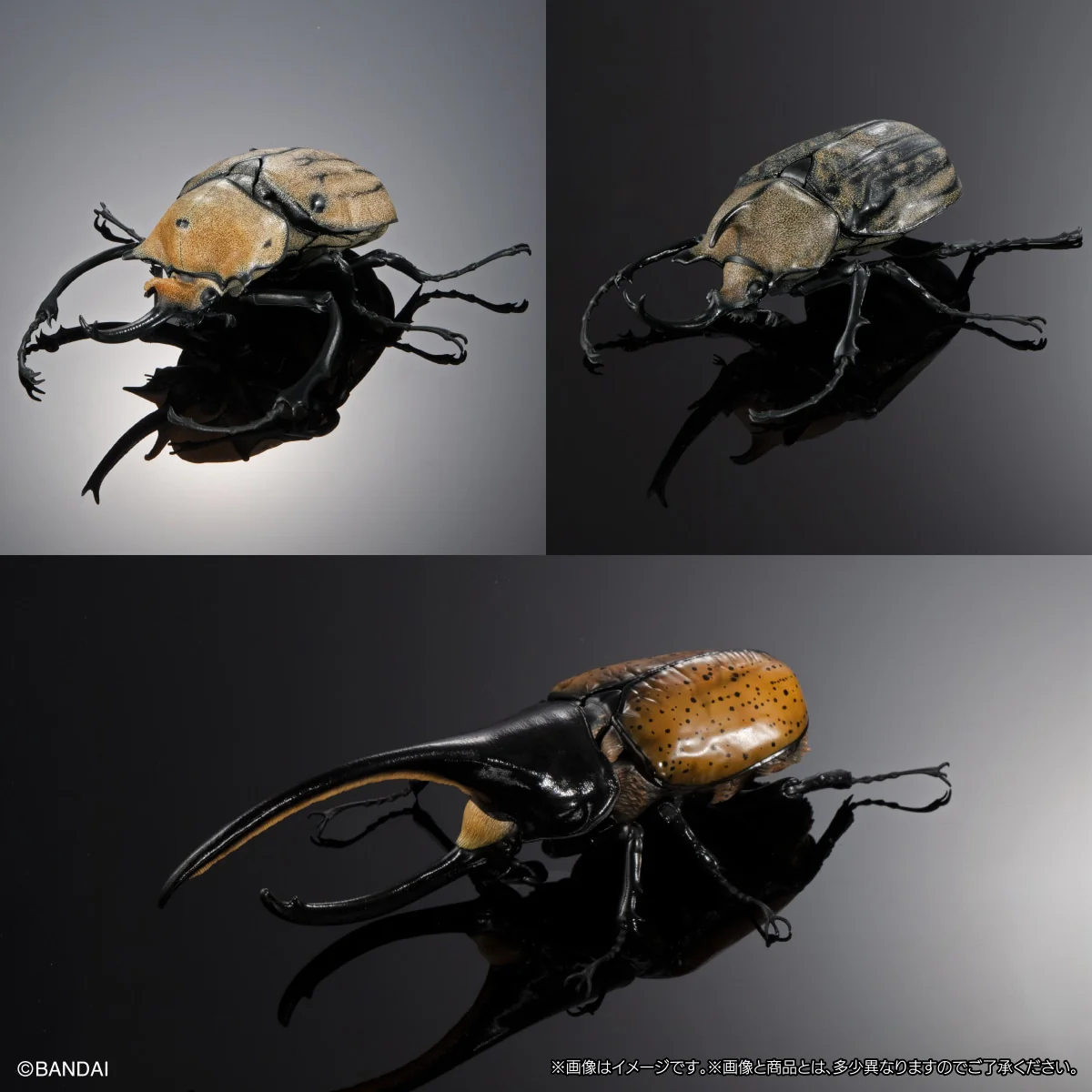 【預訂日期至06/4/26】 [魂SHOP限定 GOL] 生物大圖鑑 由蟲 04 展示支架 & 中型樹皮底座 套裝 / [GOL]THE DIVERSITY OF LIFE ON EARTH ADVANCE BEETLE 04 DISPLAY STAND & BARK PEDESTAL (MEDIUM) SET 🌸[訂單確認後,本店會於一週內發出電子預購單據,屆時請確認WhatsApp對話查收。"如需到店提取紙質單據或使用其他通訊APP可於備註告知"]