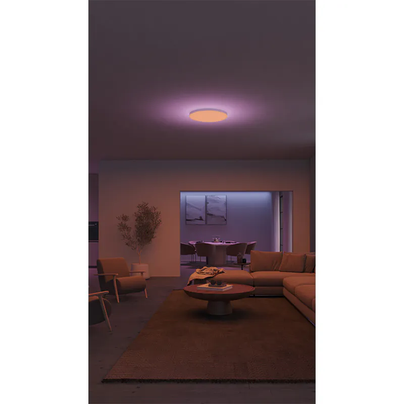 [飛利浦直送 原裝行貨2年保養] 飛利浦 Hue Datura S 圓形吸頂面板燈 – 小尺寸智能 LED 燈 可調光可調色溫 48W