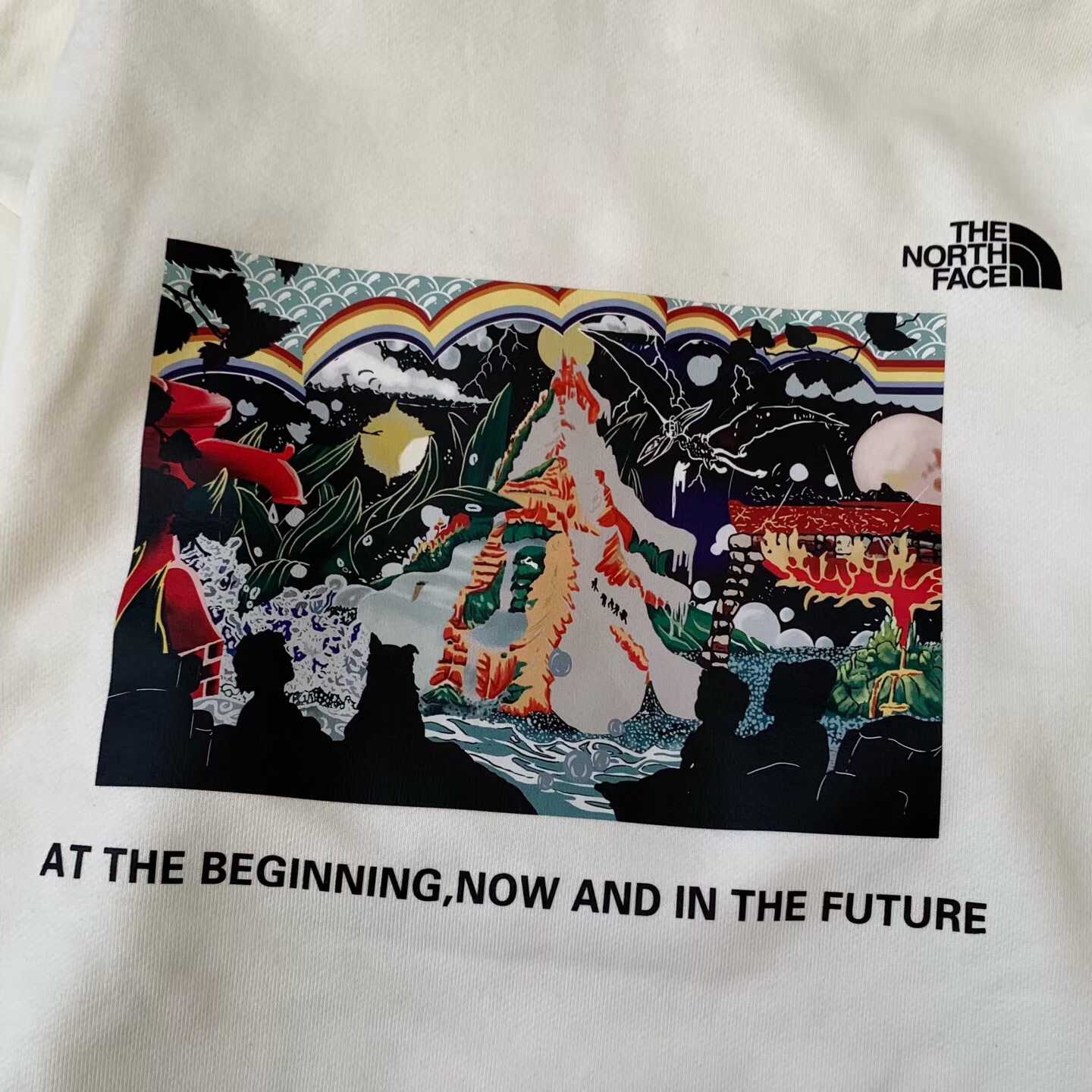 預訂 TNF 60 週年連帽衛衣 [貨號26A854]