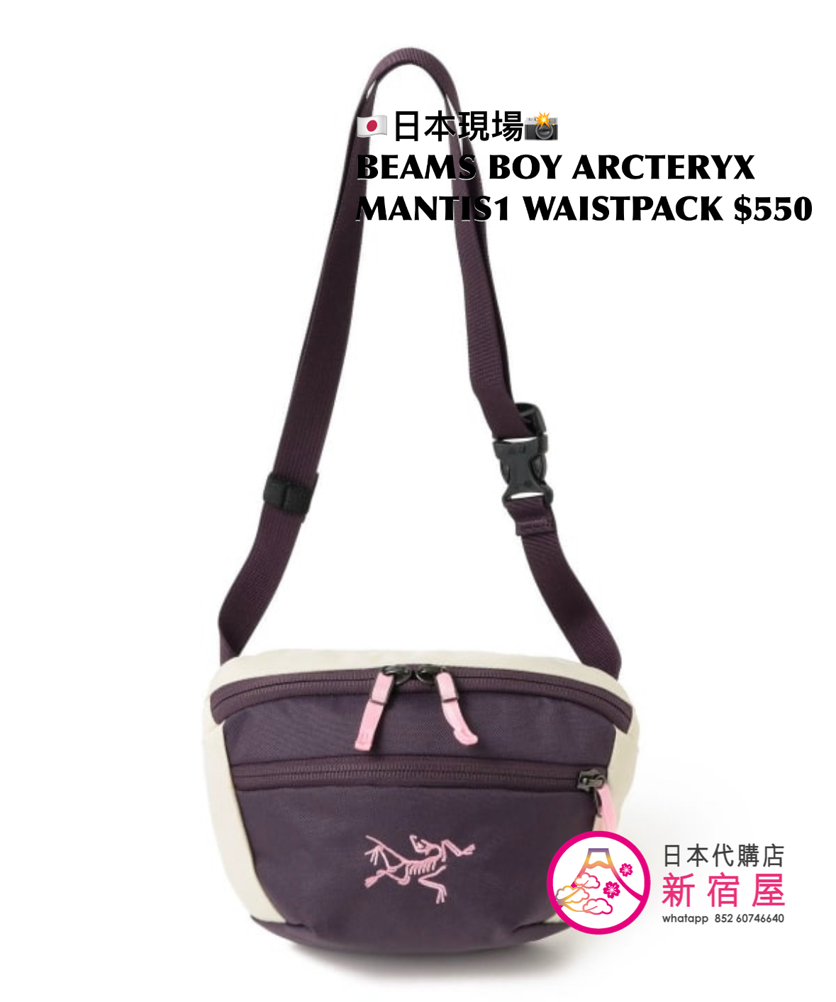 BEAMS BOY x ARCTERYX MANTIS1 WAISTPACK 
