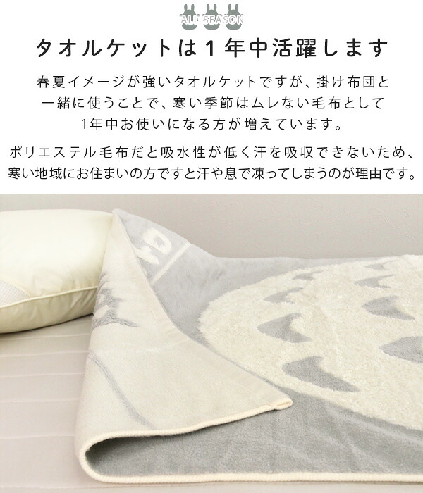 🆕【⭐訂購⭐】  🇯🇵日本直送 🌀 #龍貓 小童毛毯 🌀 [PLJD-0184] [261121]