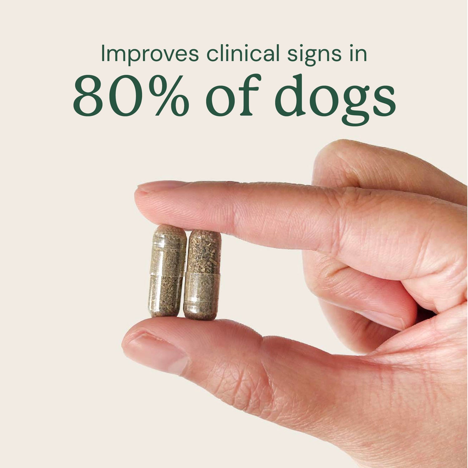 AnimalBiome : DoggyBiome Gut Restore Supplement from Raw-Fed Dogs [最新存貨情況請參閱下列商品介紹]