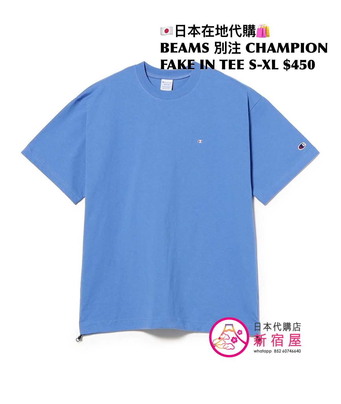 BEAMS 別注 CHAMPION FAKE IN T-SHIRT