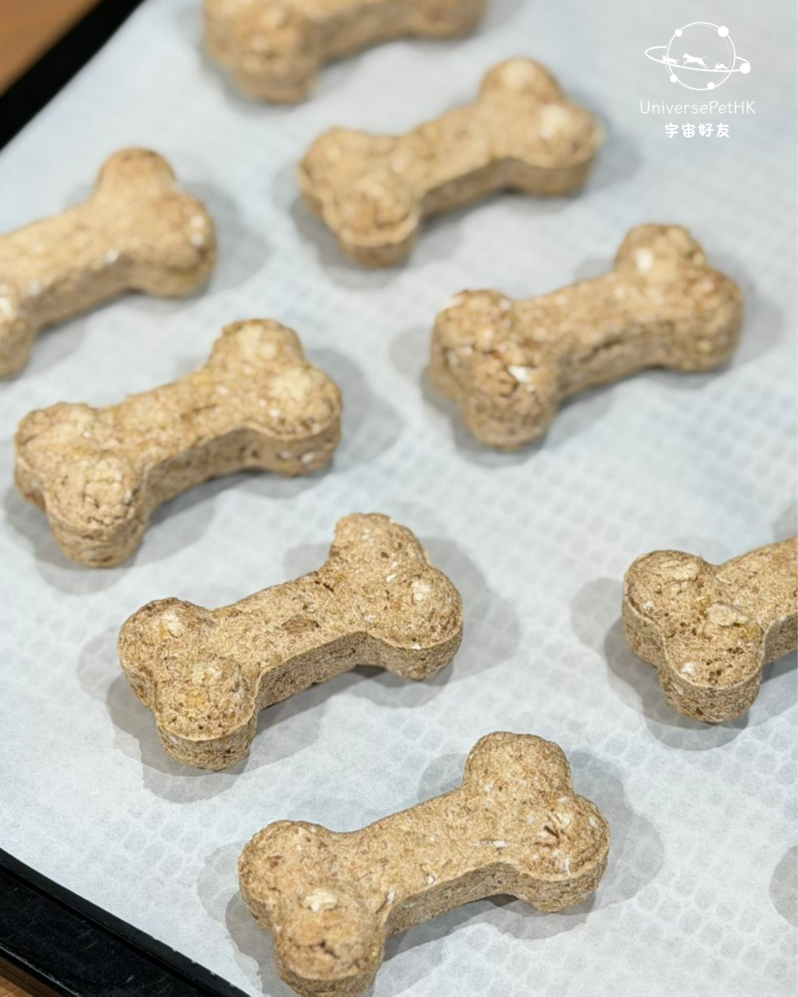 凍乾花膠鴨肉