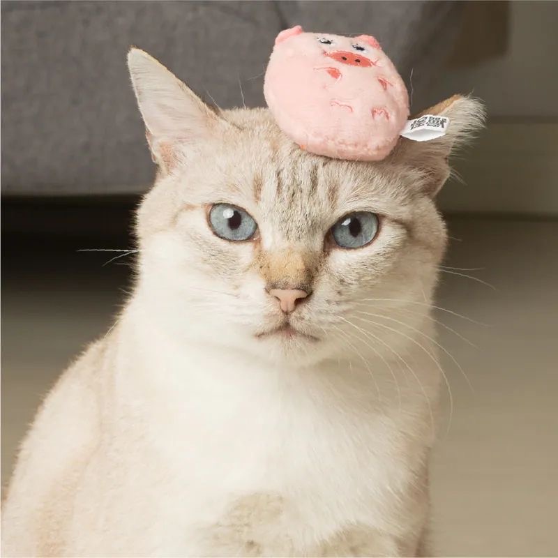 可愛寵物貓玩具套裝：趣味豬、雞腿、小鳥造型互動玩具