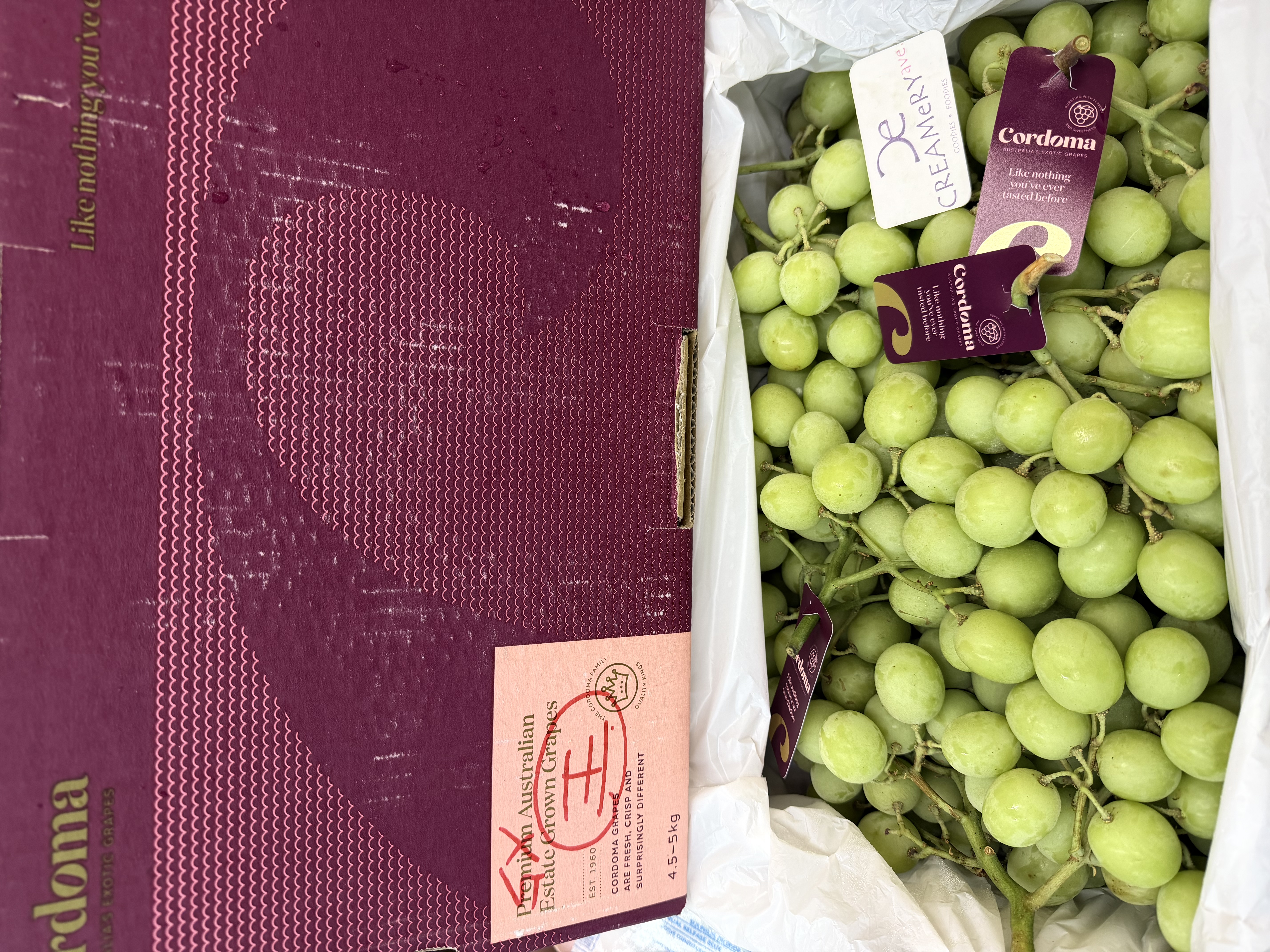 澳州 Cordoma大大粒波子青提 Australia Cordoma Seedless Grape Green 2磅Lbs