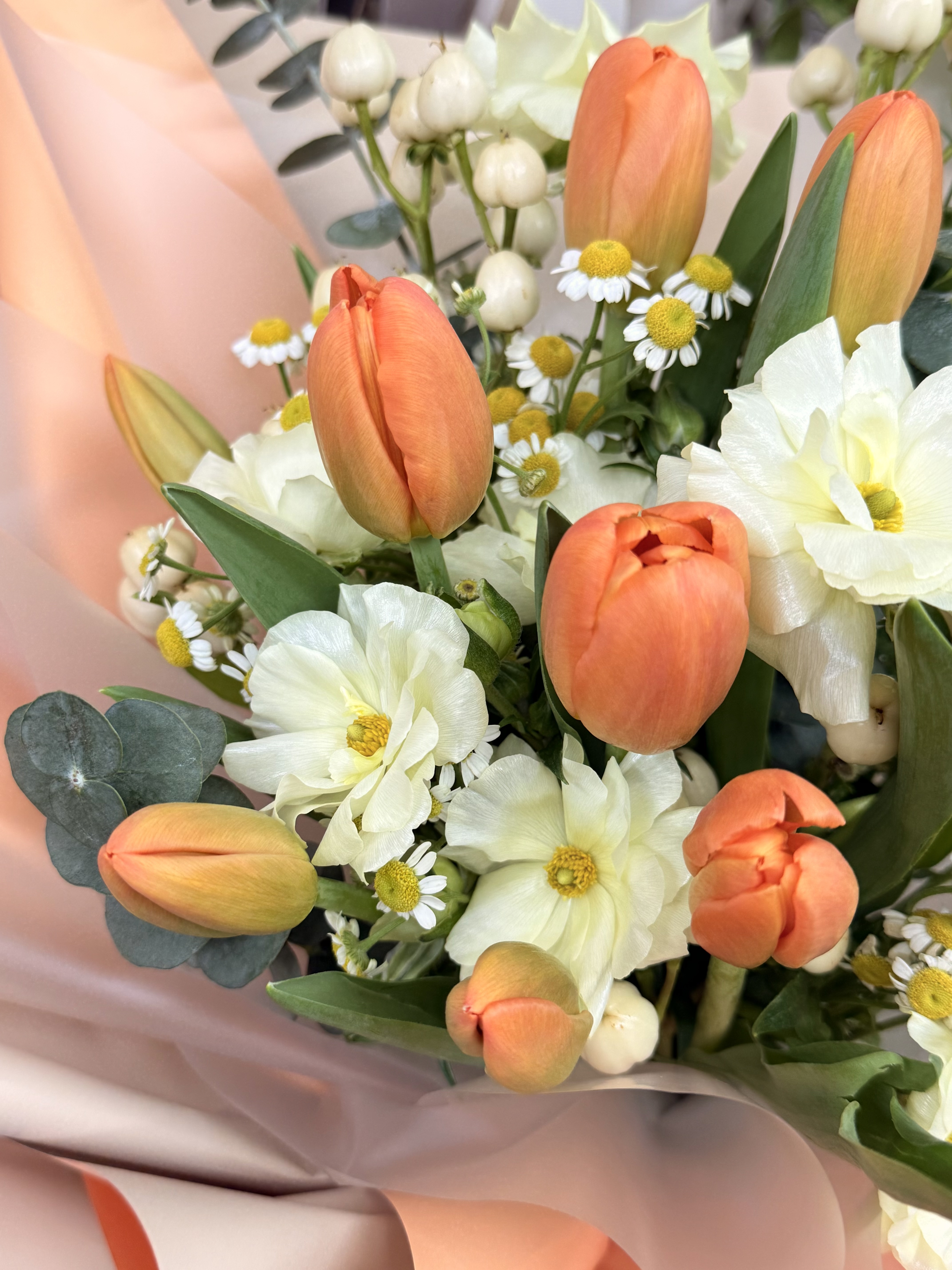 鬱金香蝴蝶小牡丹