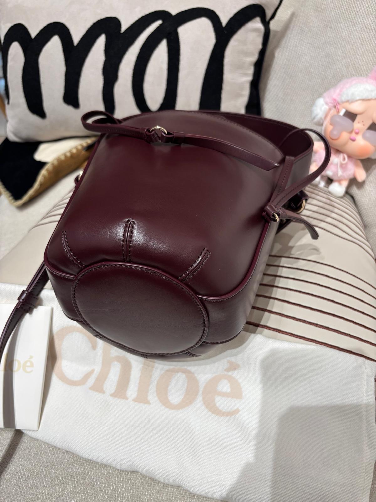 Chloe sense bucket 2way bag 酒紅 100%Authentic ,98%new ✅card✅dust bag 