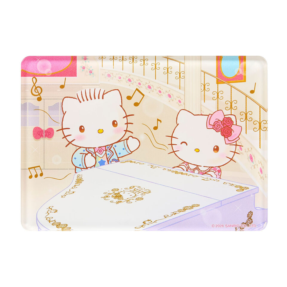 KT限定磁石1100***