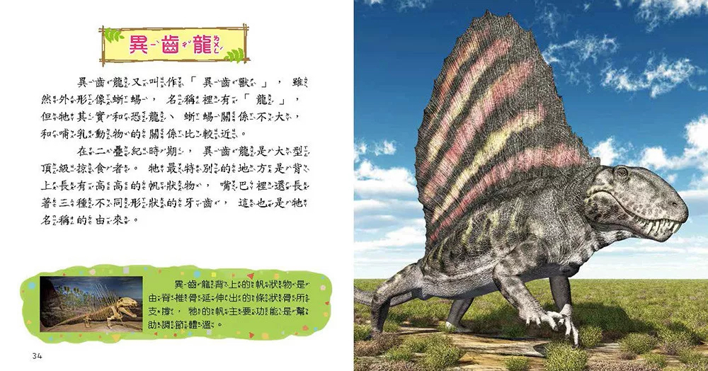 🔸預購貨品🔸史前動物小百科