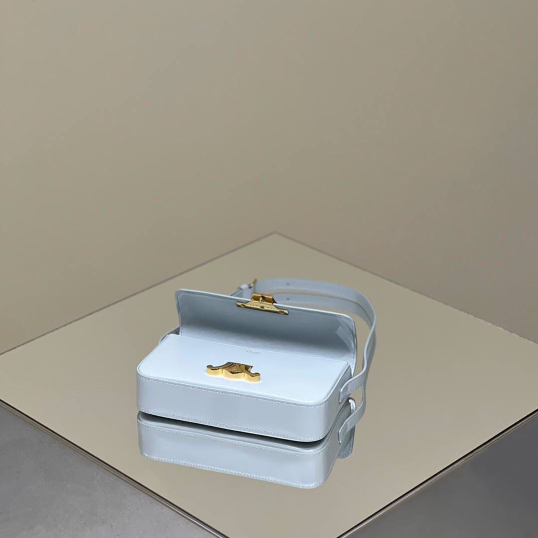 🔥大货实拍图 𝗖𝗘𝗟𝗜𝗡𝗘 ♥ 𝗧𝗥𝗜𝗢𝗠𝗣𝗛𝗘 𝗦𝗛𝗢𝗨𝗟𝗗𝗘𝗥 𝗕𝗔𝗚 型号：194143 尺寸：20*10*4cm