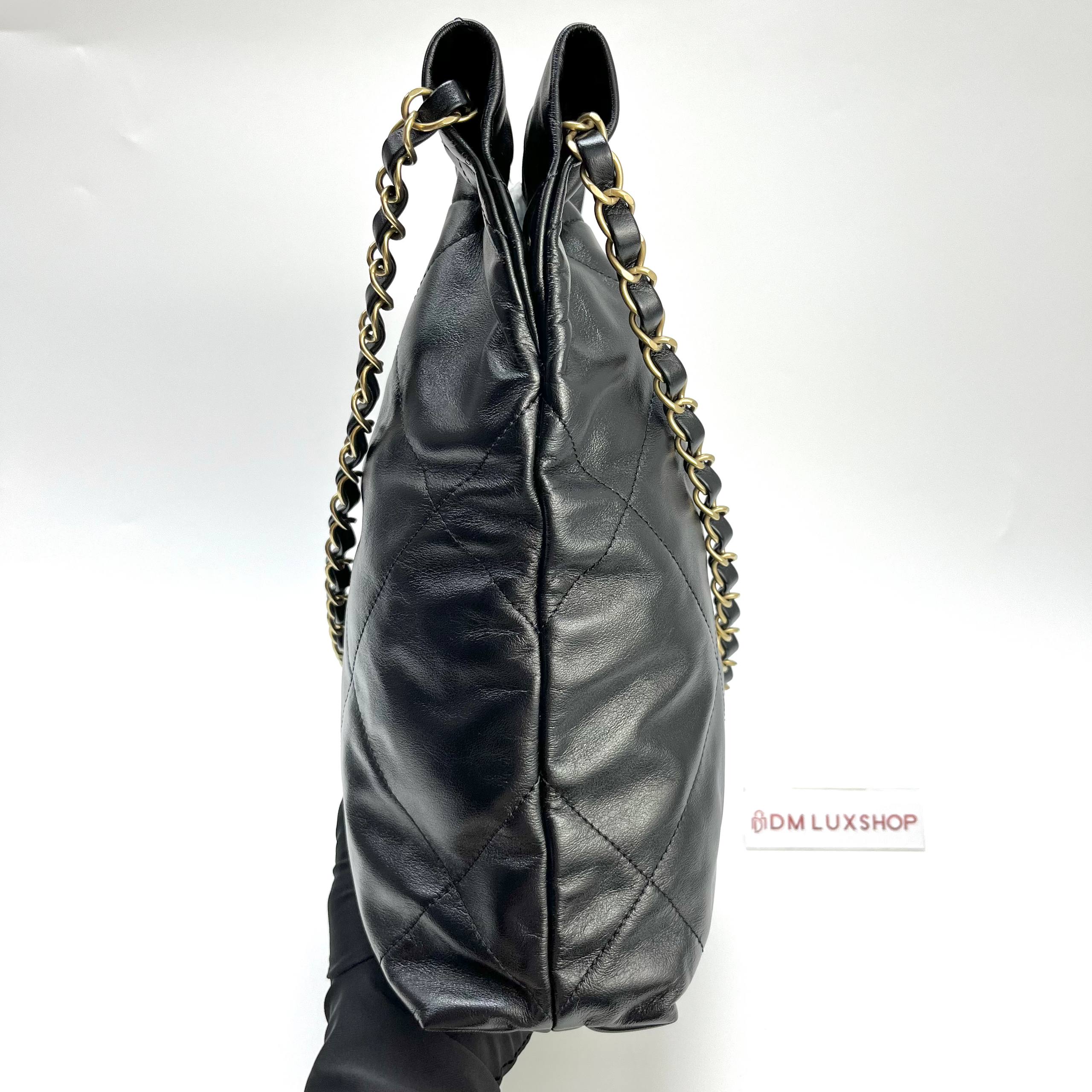 Chanel 22 Small GHW (Microchip)